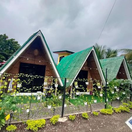 Villa Lovi Panagsama Beach Moalboal Exteriér fotografie