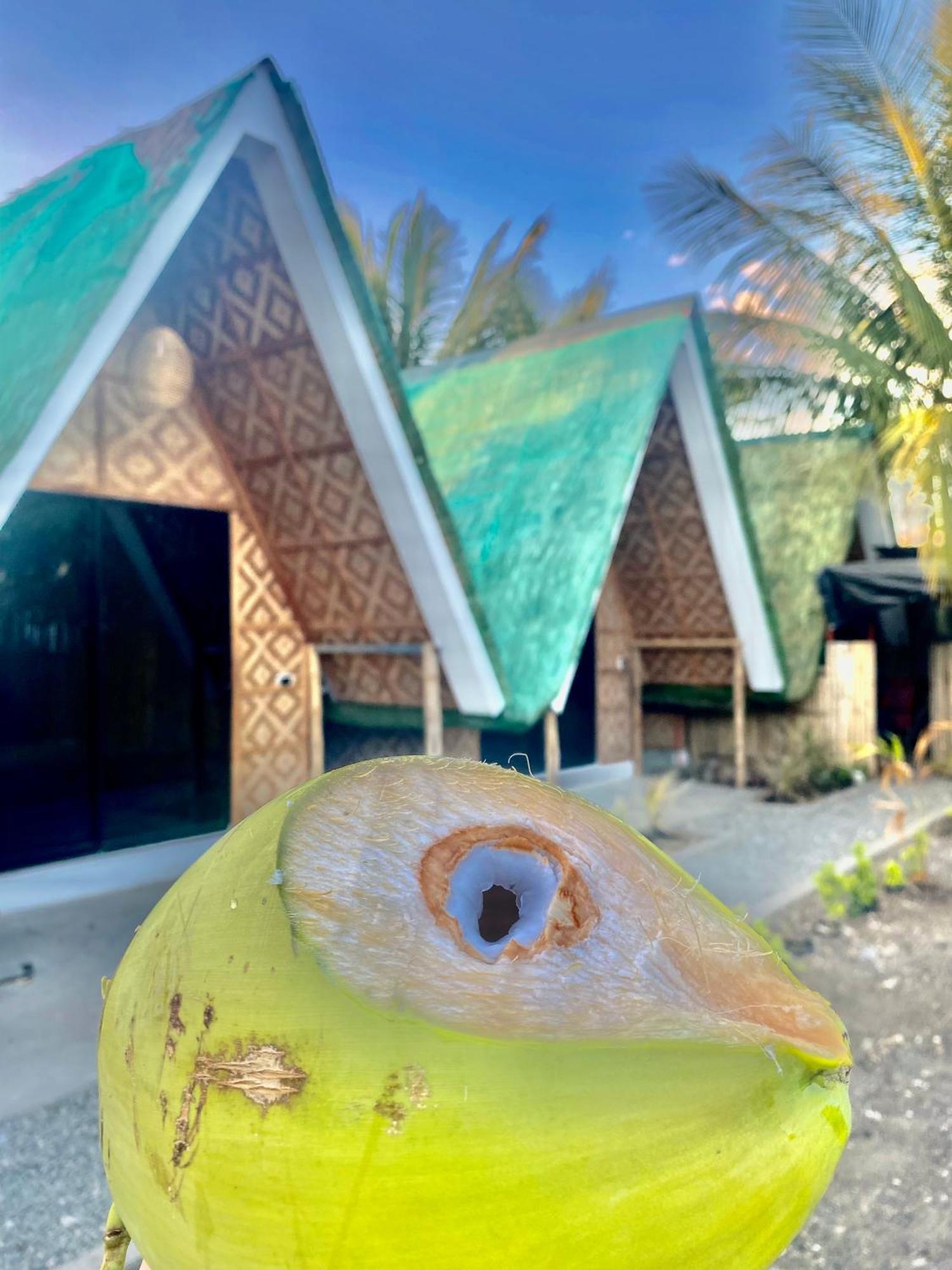 Villa Lovi Panagsama Beach Moalboal Exteriér fotografie